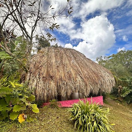 Vila Sierra Alta Finca Boutique Minca Exteriér fotografie