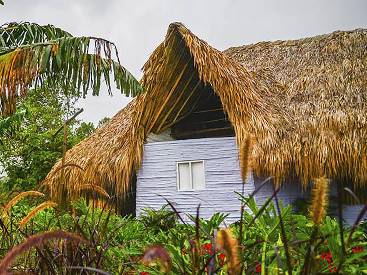 Vila Sierra Alta Finca Boutique Minca Exteriér fotografie