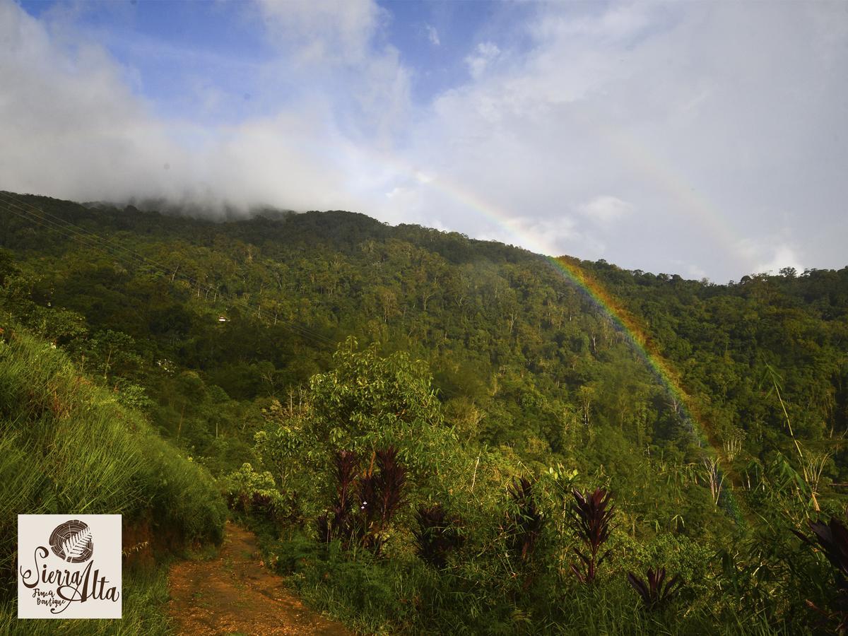 Vila Sierra Alta Finca Boutique Minca Exteriér fotografie